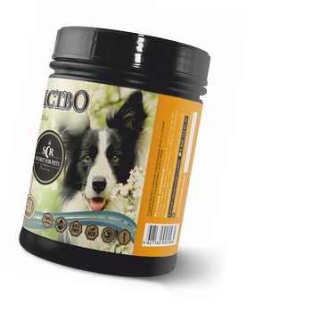 For dogs - Treats