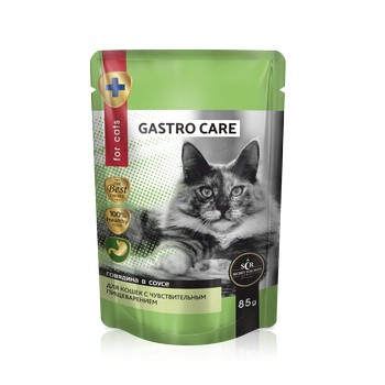 For Cats – Wet Food Diets